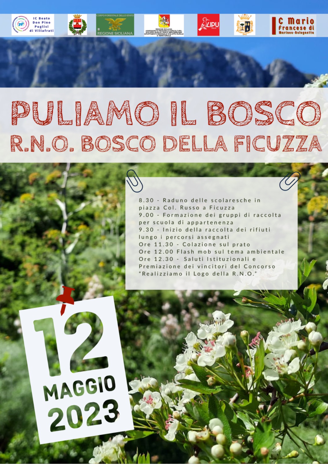 Puliamo il bosco